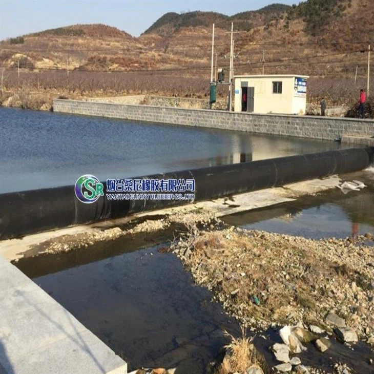 Anpassad vattenuppblåst gummidamblåsa